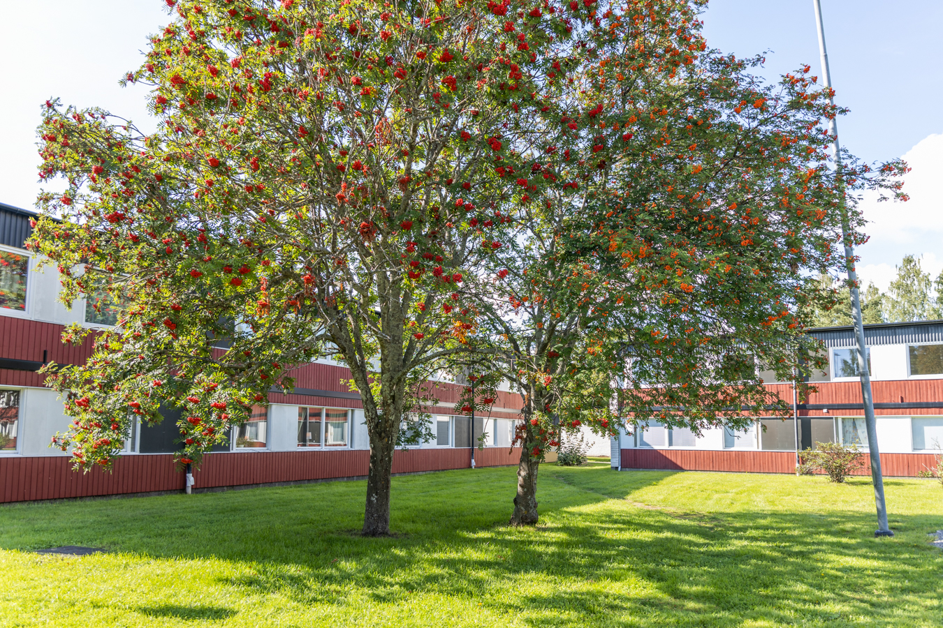 Granbergshöjden 24C, 821 41, Bollnäs