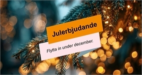 Image missing alt text