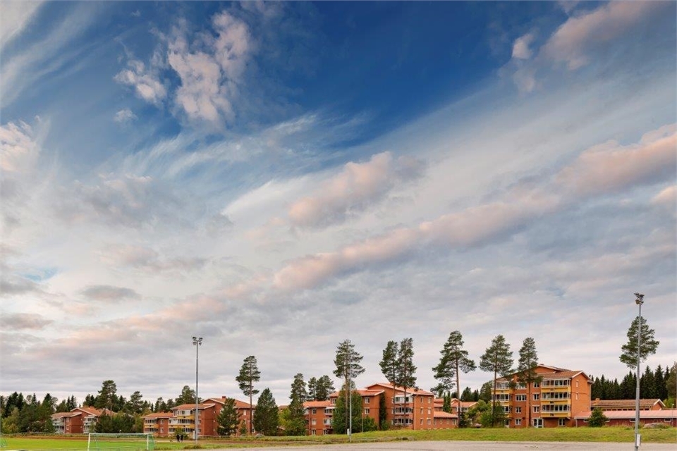 /Global/DisplayMultimediaDescription.ashx?guid=21f54610-459a-4626-b722-d9deeee22b8c