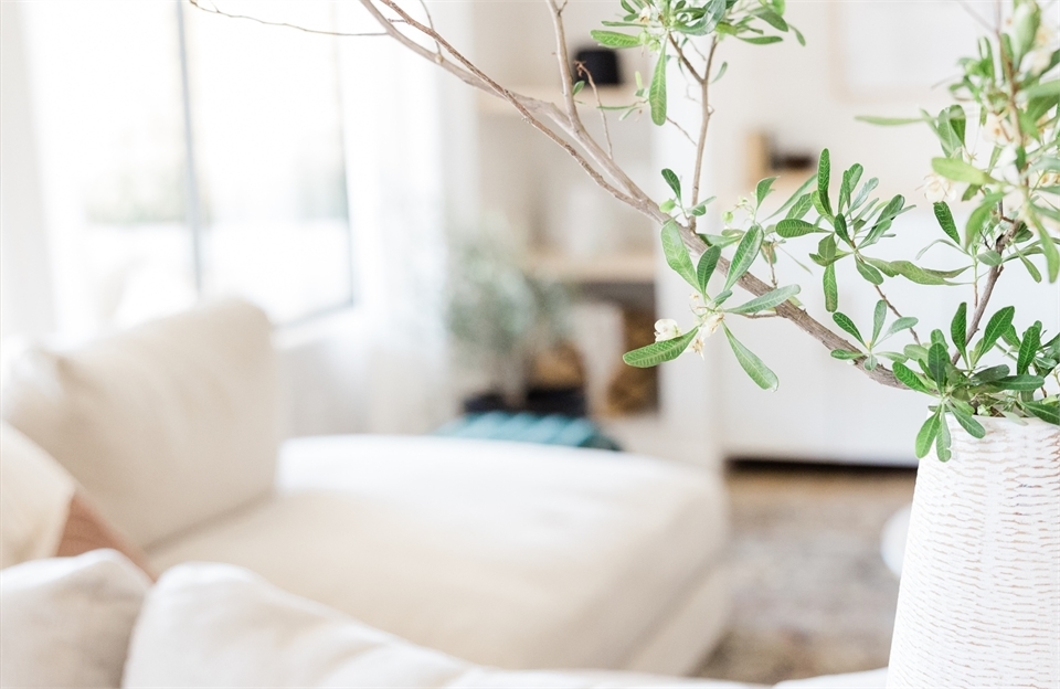 /Global/DisplayMultimediaDescription.ashx?guid=8ef16905-0bce-44b9-b095-6ef796db752e